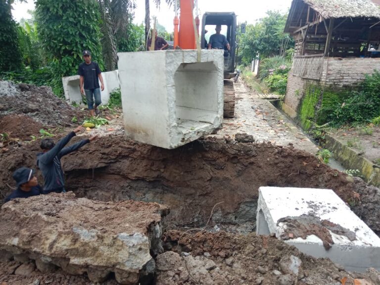 WhatsApp Image 2025-10-13 at 06.56.32