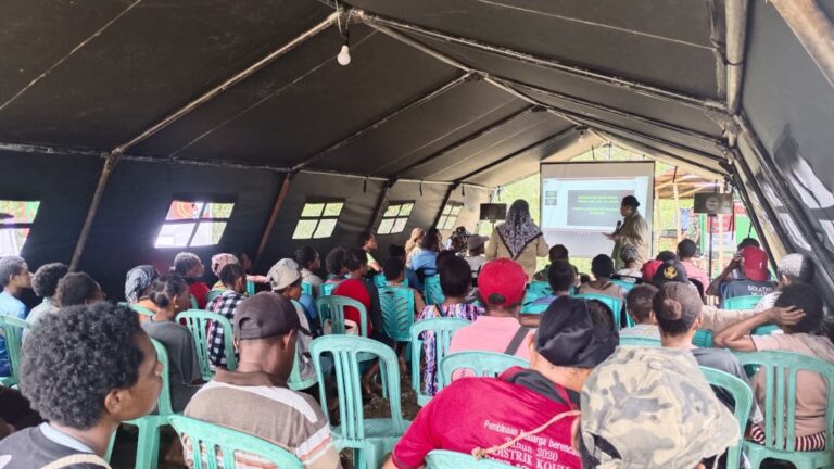 WhatsApp Image 2025-10-13 at 09.16.14