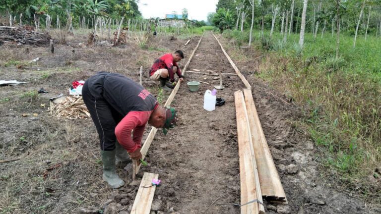 WhatsApp Image 2025-10-14 at 10.50.13 (2)