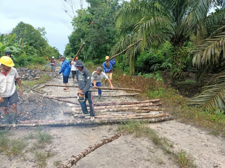 WhatsApp Image 2025-10-14 at 10.51.21