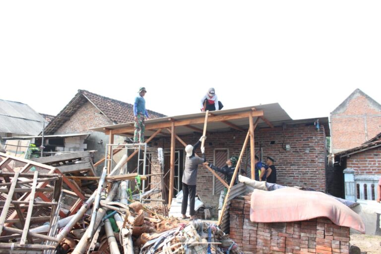 WhatsApp Image 2025-10-14 at 13.46.27 (1)