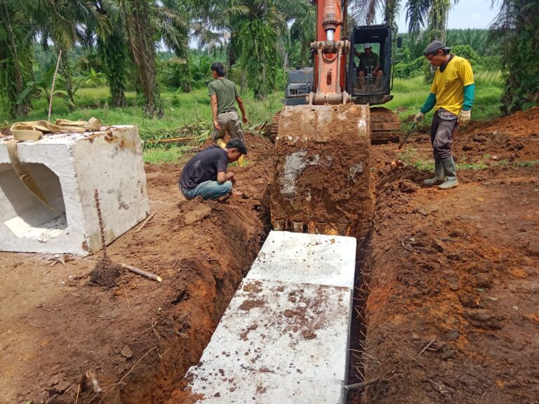 WhatsApp Image 2025-10-15 at 07.42.52