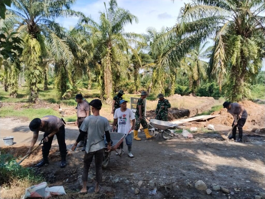 WhatsApp Image 2025-10-15 at 07.42.55