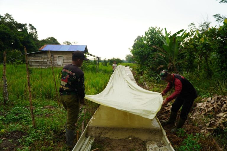 WhatsApp Image 2025-10-15 at 10.24.42 (2)