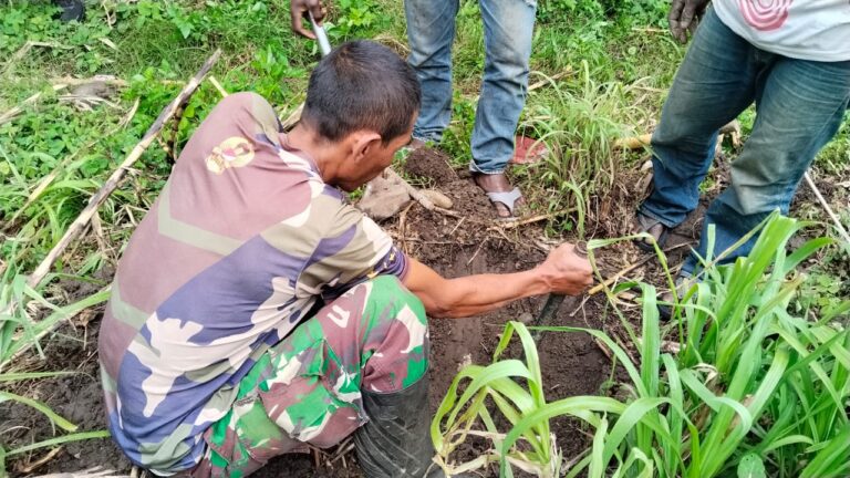 WhatsApp Image 2025-10-15 at 12.35.25 (1)