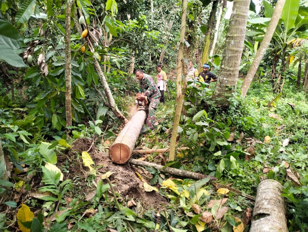 WhatsApp Image 2025-10-16 at 10.27.07 (1)