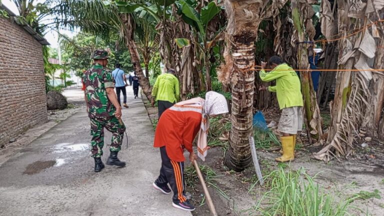 WhatsApp Image 2025-10-19 at 00.12.03