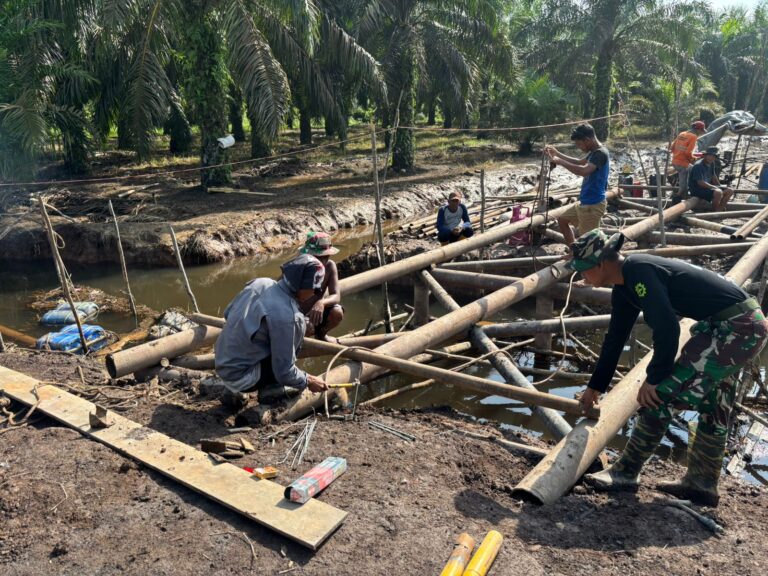 WhatsApp Image 2025-10-20 at 08.26.18 (1)