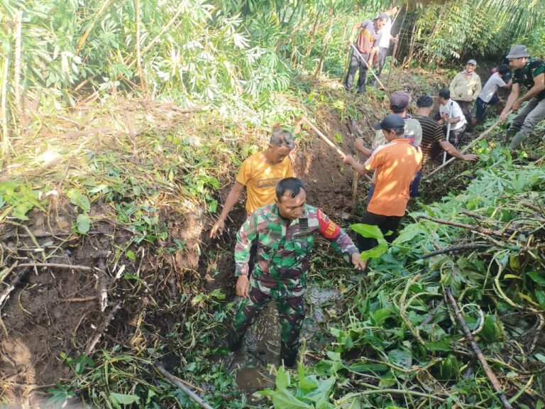 WhatsApp Image 2025-10-23 at 23.48.45