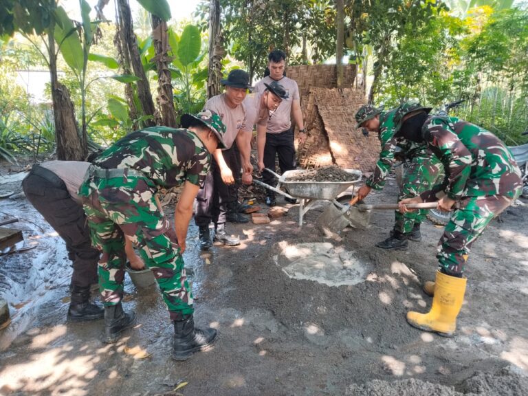 WhatsApp Image 2025-10-23 at 23.49.27