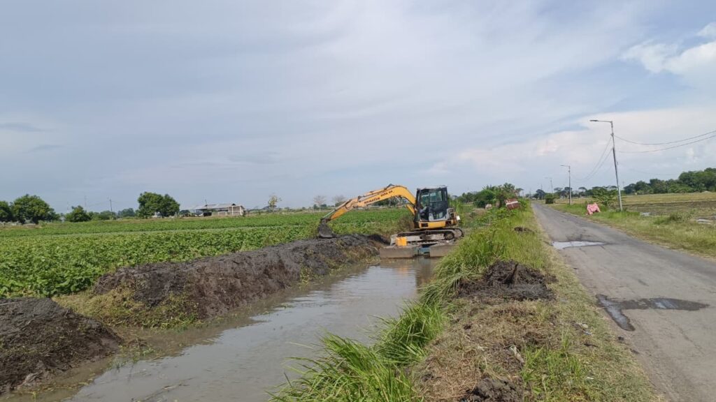 WhatsApp Image 2025-10-24 at 18.14.14