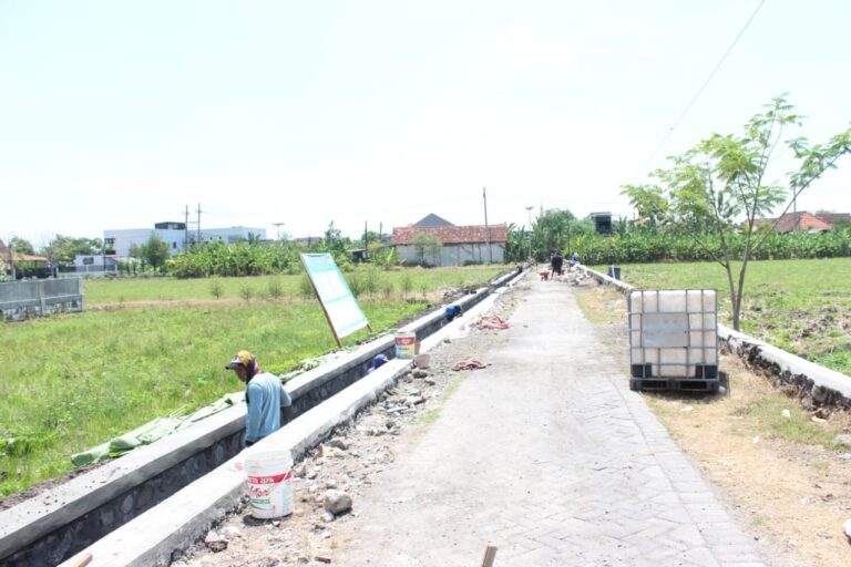 WhatsApp Image 2025-10-24 at 18.24.49 (2)