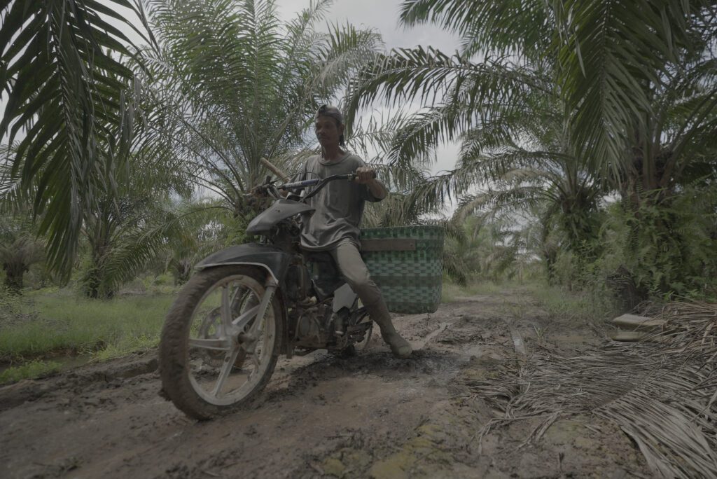 WhatsApp Image 2025-10-26 at 23.04.17