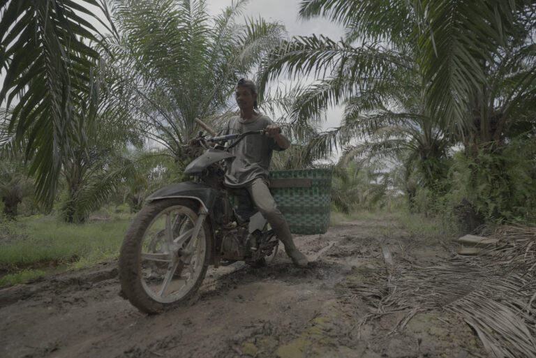 WhatsApp Image 2025-10-26 at 23.04.17