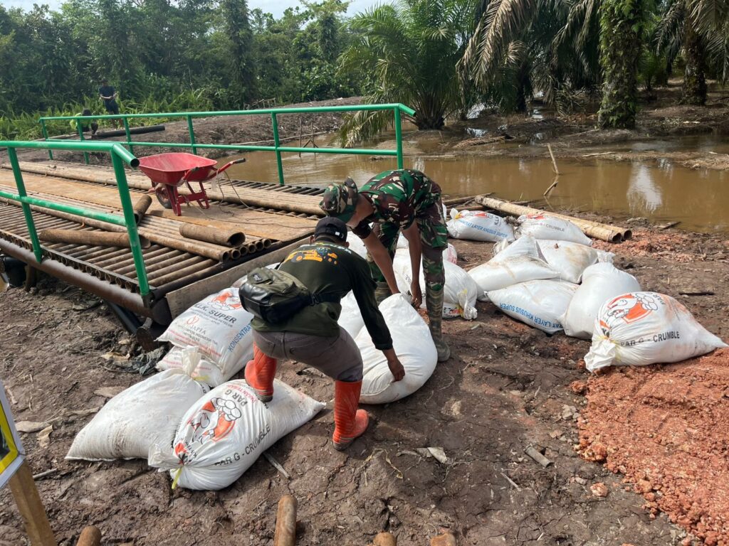 WhatsApp Image 2025-10-27 at 23.59.14