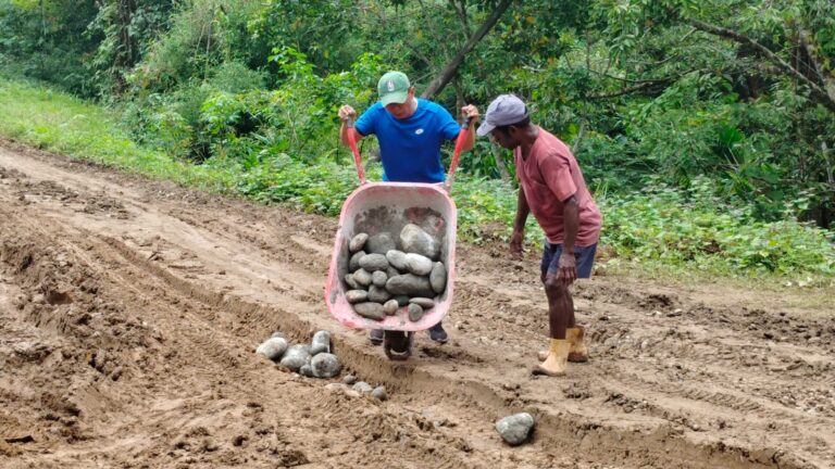 WhatsApp Image 2025-10-28 at 09.10.40