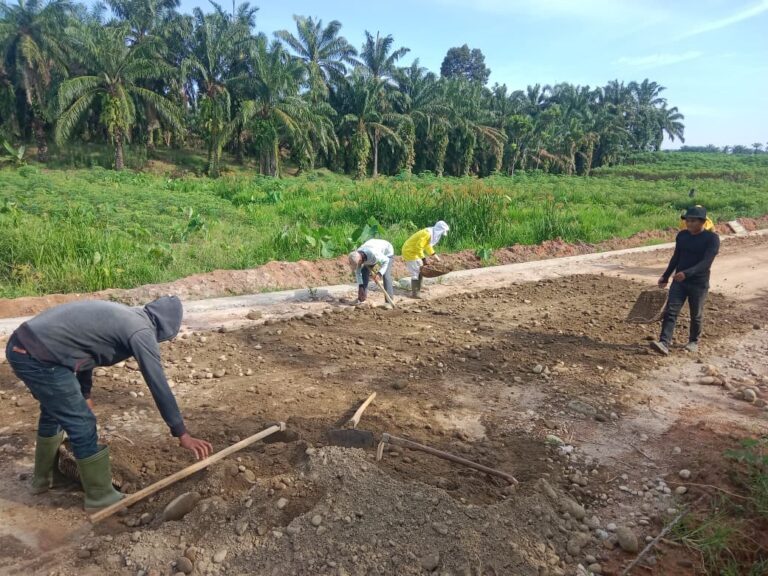 WhatsApp Image 2025-10-29 at 23.25.39