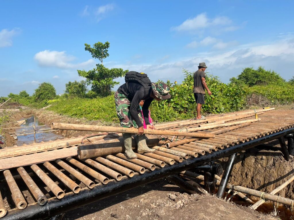 WhatsApp Image 2025-10-31 at 11.43.20 (1)