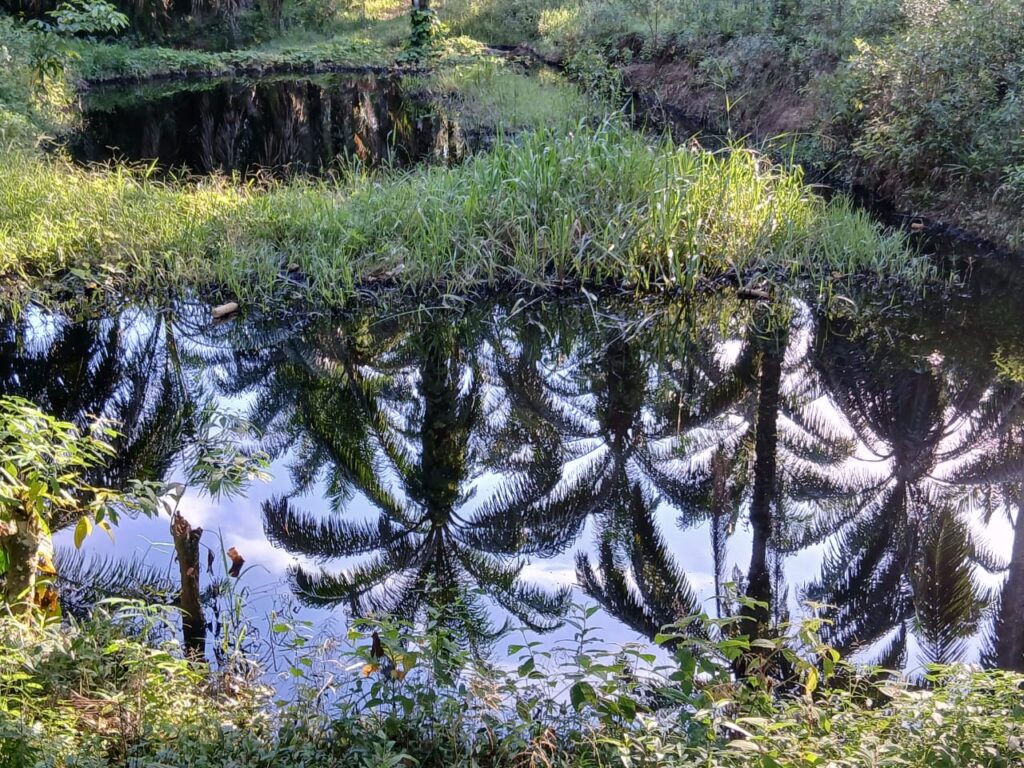 WhatsApp Image 2025-10-31 at 20.20.38