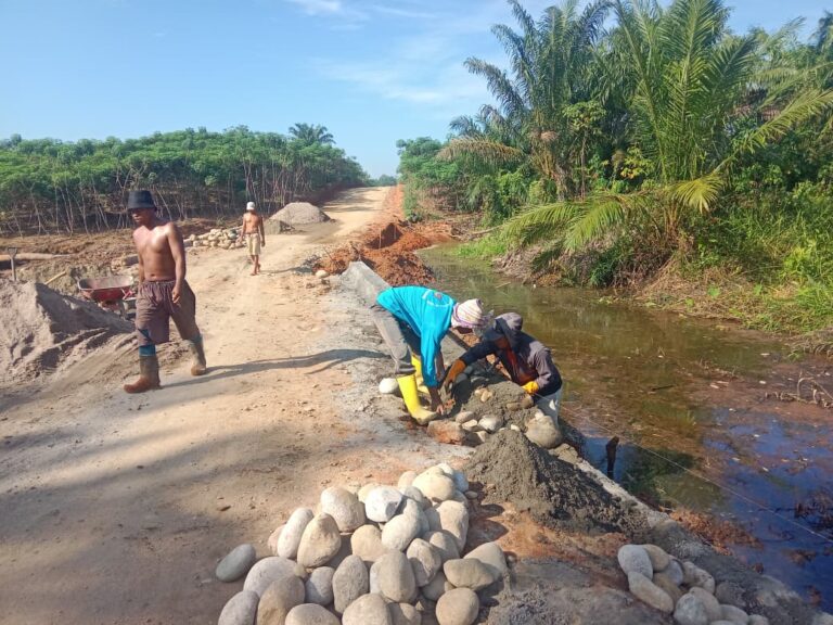 WhatsApp Image 2025-10-31 at 23.20.54 (1)