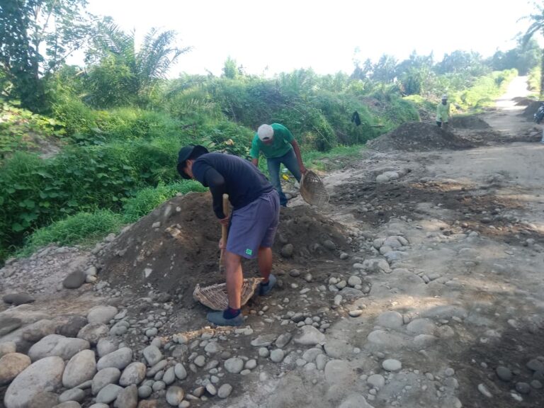 WhatsApp Image 2025-10-31 at 23.21.32 (1)