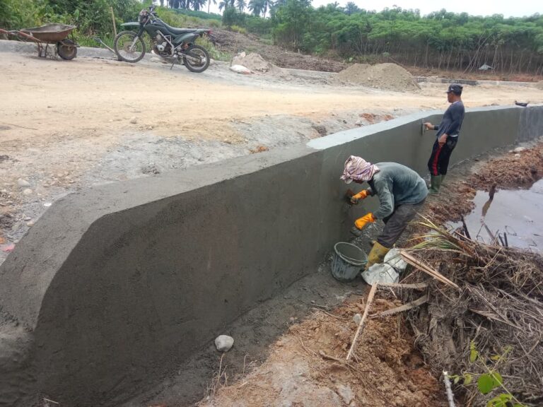 WhatsApp Image 2025-11-03 at 22.59.01