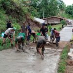 WhatsApp Image 2025-11-04 at 11.56.37