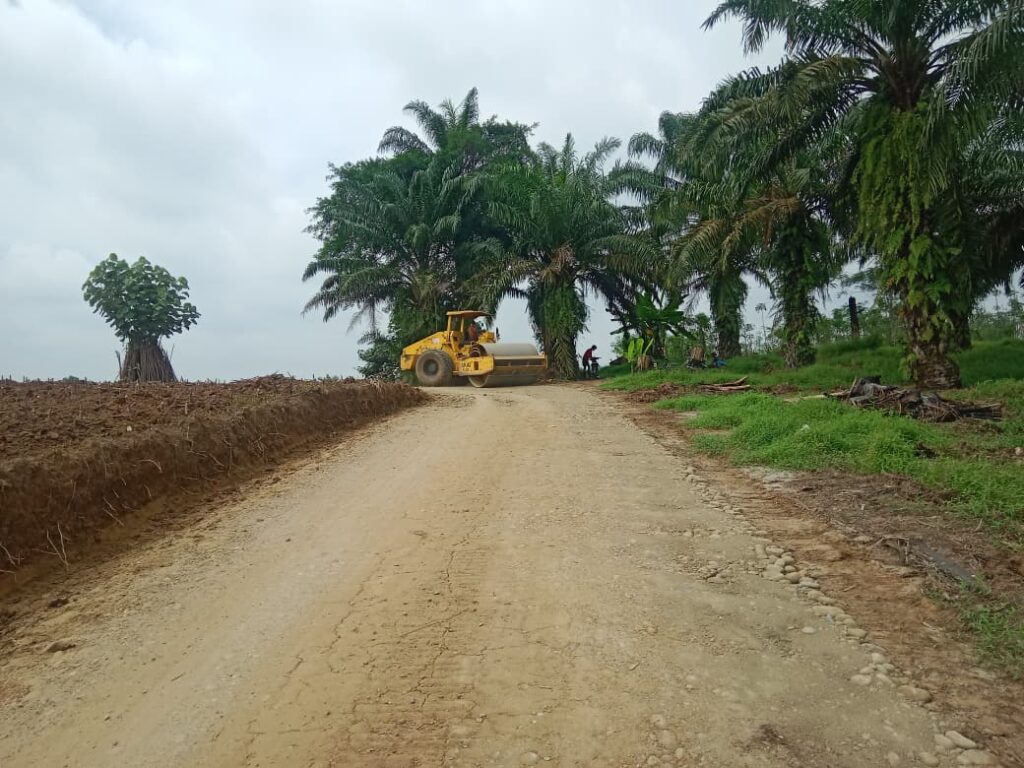 WhatsApp Image 2025-11-05 at 01.19.37