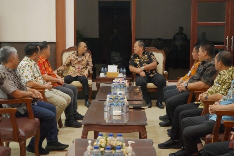 WhatsApp Image 2025-11-17 at 14.04.58