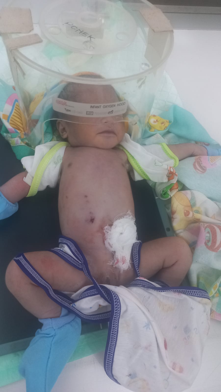 WhatsApp Image 2025-11-18 at 07.15.28