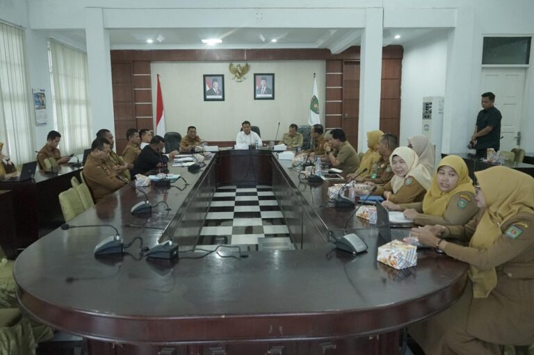 WhatsApp Image 2025-12-04 at 20.06.07