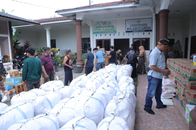 WhatsApp Image 2025-12-14 at 19.17.57