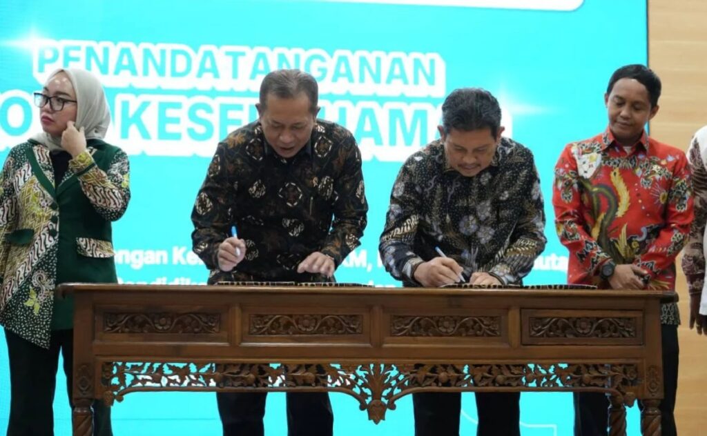 WhatsApp Image 2025-12-29 at 19.01.18