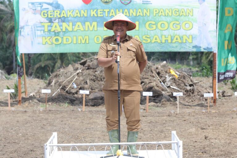 WhatsApp Image 2025-12-30 at 20.16.19 (1)