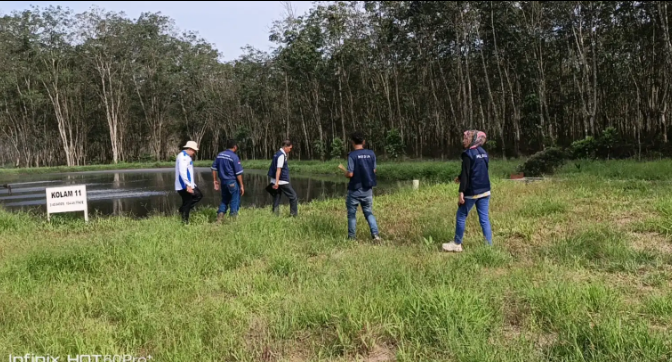 FireShot Capture 010 - PT. SON Lempuing Jaya Bantah Dugaan Pencemaran_ Klaim Masyarakat da_ - [pewartainvestigasi.com]