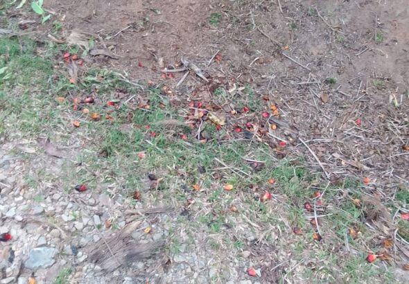 WhatsApp Image 2026-02-03 at 20.24.29