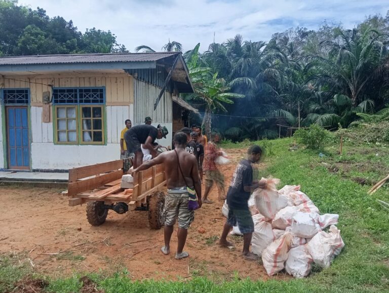 WhatsApp Image 2026-02-10 at 11.00.45