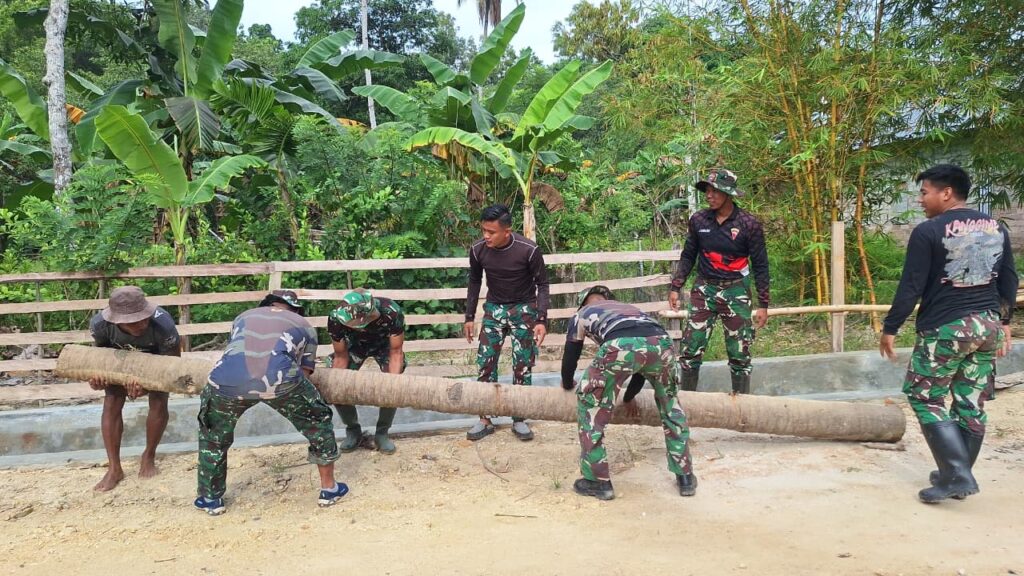 WhatsApp Image 2026-02-11 at 06.12.23