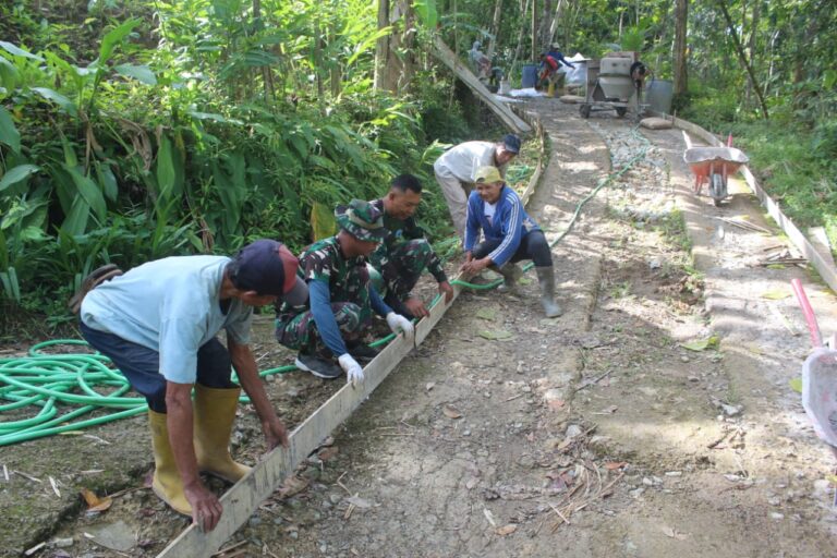 WhatsApp Image 2026-02-11 at 10.39.53