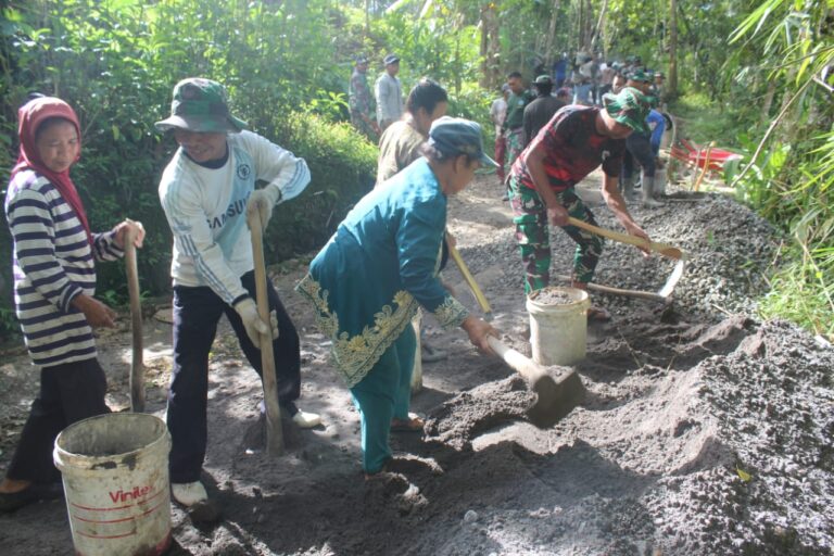 WhatsApp Image 2026-02-11 at 10.40.12