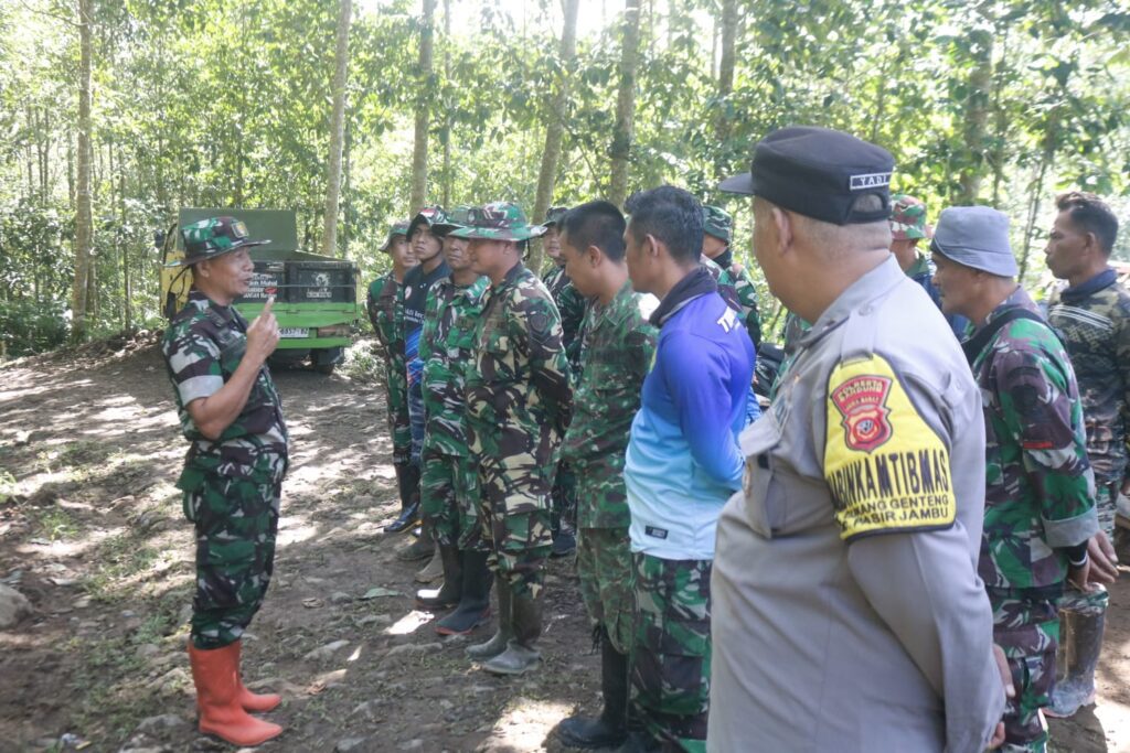 WhatsApp Image 2026-02-11 at 11.37.00