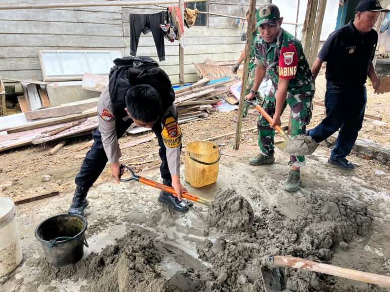 WhatsApp Image 2026-02-12 at 07.17.38 (1)