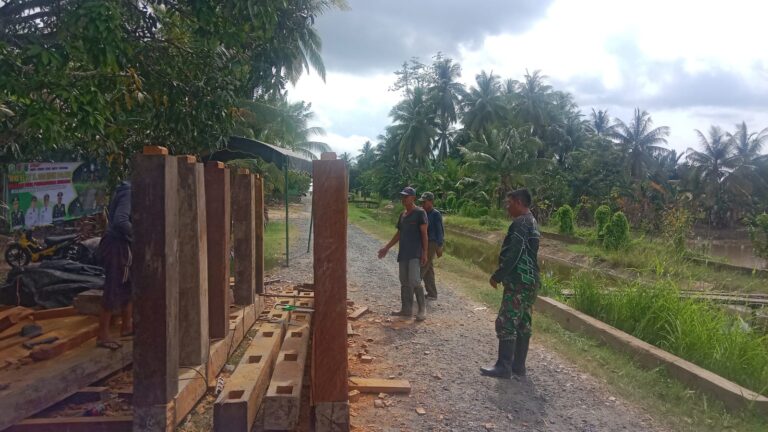 WhatsApp Image 2026-02-12 at 10.29.08