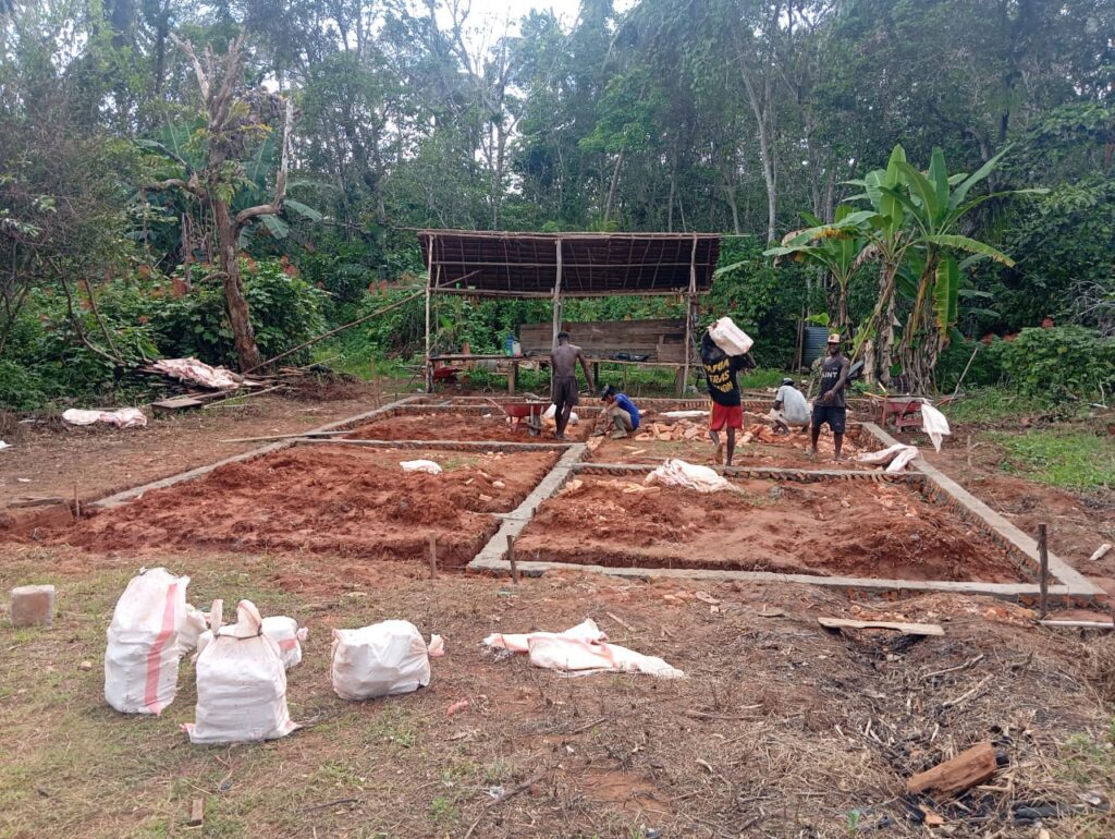 WhatsApp Image 2026-02-13 at 14.47.08