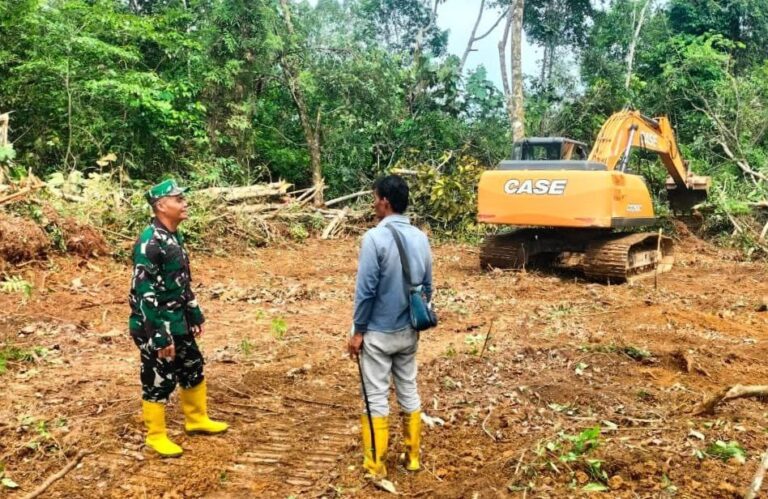 WhatsApp Image 2026-02-13 at 15.03.23 (1)