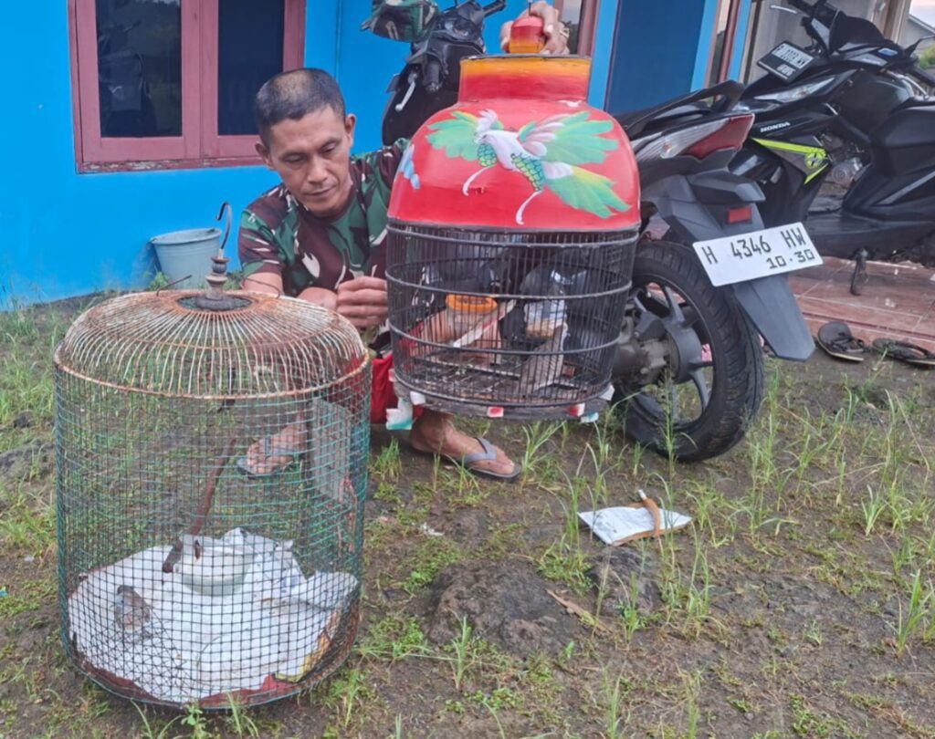 WhatsApp Image 2026-02-13 at 19.26.33