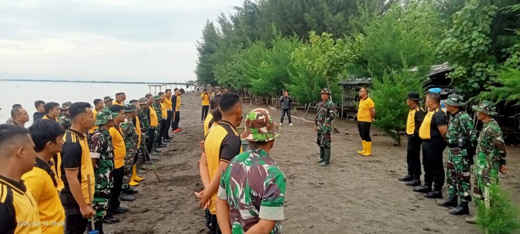 WhatsApp Image 2026-02-13 at 19.26.49