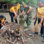 WhatsApp Image 2026-02-13 at 19.26.52