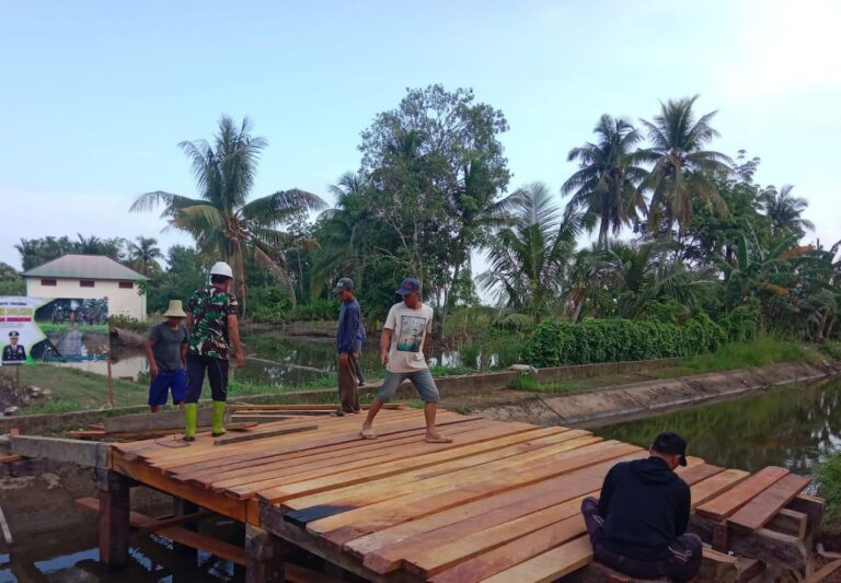 WhatsApp Image 2026-02-14 at 09.02.41 (1)