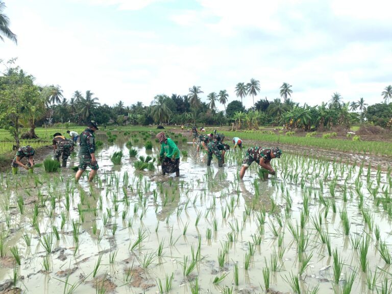 WhatsApp Image 2026-02-15 at 03.56.44